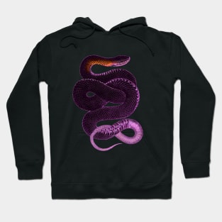 serpent,cobra,reptile,viper,venom,lizard,rattlesnake,king cobra,dragon,hydra,poison,venomous,plumber's snake,pythonidae,pythons,auger,python,squamata,serpentine,worm,big,ophidian,rattlesnakes,medusa,snakebite Hoodie